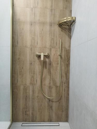 a shower with a hose in a bathroom at Jovan Apartman 2024 in Igalo