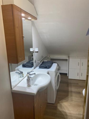 une salle de bain avec un lavabo et une machine à laver dans l'établissement Bousquet, à Lanespède
