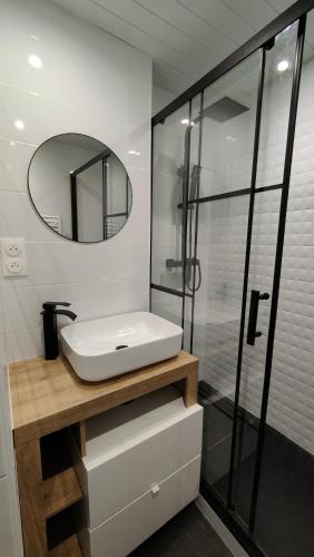 une salle de bain avec un lavabo et un miroir dans l'établissement Appartement au coeur des Pyrénées, à Argelès-Gazost