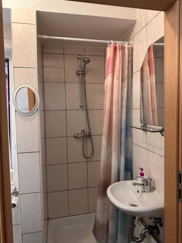 a bathroom with a shower and a sink at Wohnung im Herzen der historischen Altstadt in Hannoversch Münden