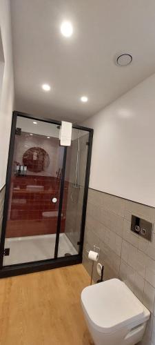 a bathroom with a toilet and a shower at Villa dos Corcéis in Esposende