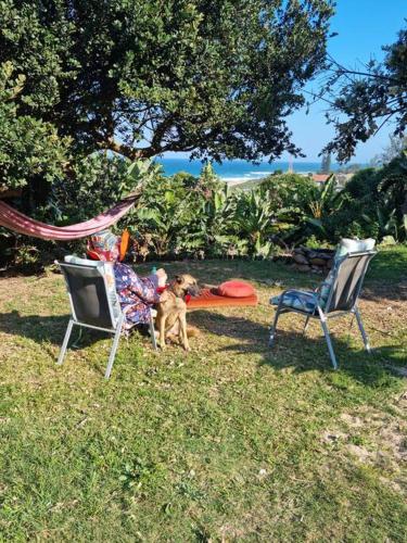 Zahrada ubytování Surf Cottage Ifafa