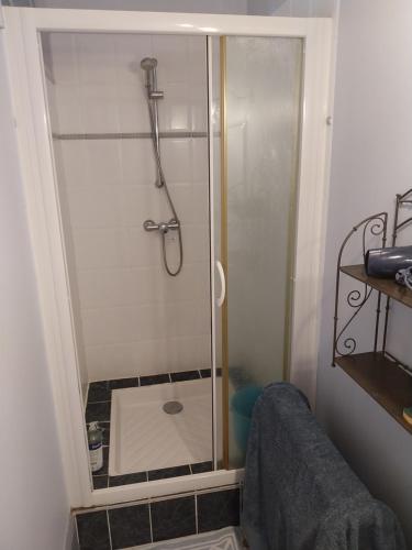 a shower with a glass door in a bathroom at Chambres d'hotes au Domaine des Possibles in Orcines