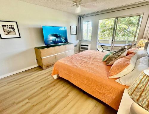 Una televisión o centro de entretenimiento en OCEANVIEW Condo in Kapa'a FULLY remodeled 1bd and 1ba