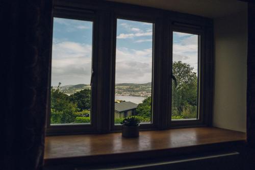 a window with a potted plant sitting in a room at The Manor Boutique Hotel Restaurant and Bar in Conwy