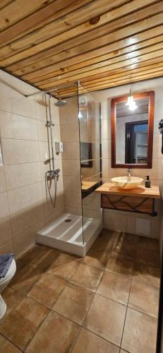 a bathroom with a shower and a sink at Cabana dintre Salcami in Durau