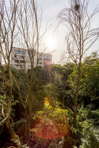 Calme dans la verdure Paris 16e