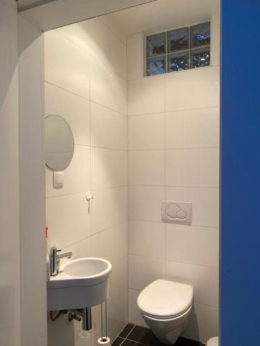 a white bathroom with a toilet and a sink at Aura Diest in Diest