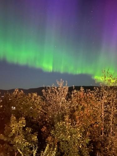 Naturlandskabet i nærheden af lejligheden