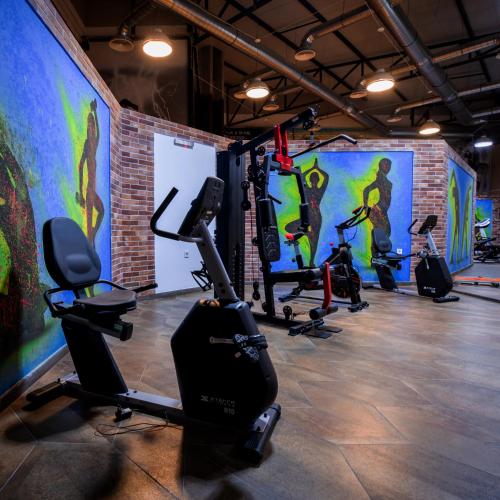 Gimnasio o instalaciones de fitness de Hotel Termal Lux & Spa