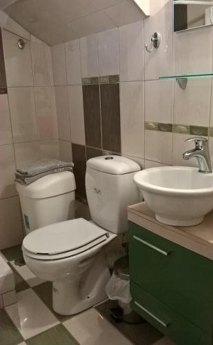 a bathroom with a toilet and a sink at Antonia's Apartments in Yimnón