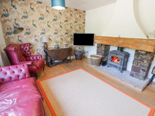 a living room with a fireplace and a tv at Clearbrook Lodge in Carmarthen
