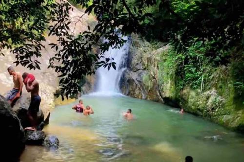 Naturlandskabet i nærheden af lejligheden