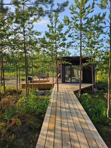 a wooden walkway leading to a house in the woods at ForRest Glamp Saulkrasti in Saulkrasti