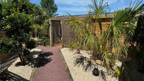 un jardin avec des palmiers et un bâtiment dans l'établissement Oasis, à Juilley