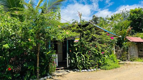 a small house with a green door in a garden at Villa Luz Ovelia in El Valle