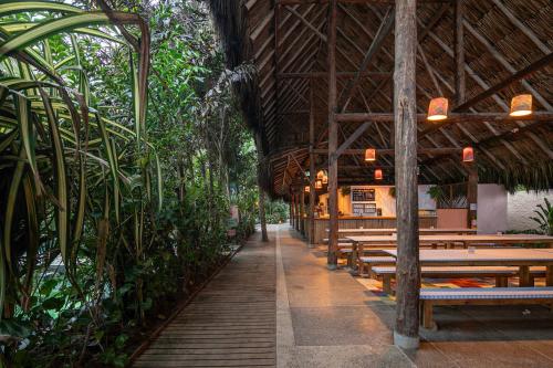 Un jardín fuera de Costeño Beach