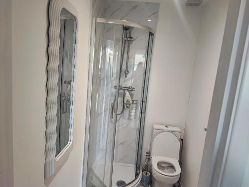 a bathroom with a shower and a toilet at CNN House in Peacehaven