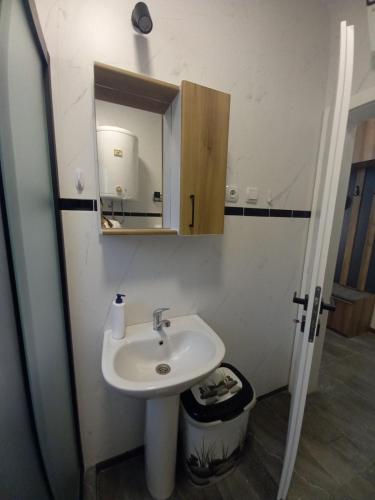 Et badeværelse på RUŽA Apartment