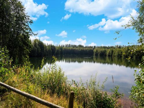 a view of a lake with a wooden fence at Forest-View Mansion, Hainaut in Antoing