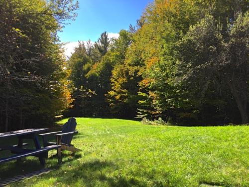 a park bench sitting in the grass in a field at Private Tavern, Hot Tub, 8-Fireplaces, Spa Baths, Fire Pit, Baths Ensuite - Shop or Ski! in Landgrove Town Center