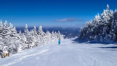 a person is walking down a snow covered ski slope at Fireplace, Ski-Okemo, Apple Trees, Piano, Amazing Views, Firepit, Priory, Pool, Fields, Theatre! in Weston