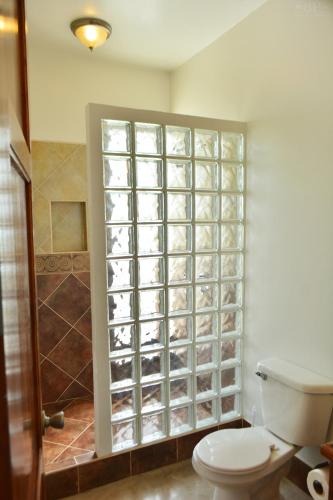 a bathroom with a toilet and a glass block window at Brahma Blue Resort in San Pedro