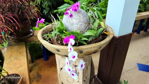 En have udenfor Sabai Resort