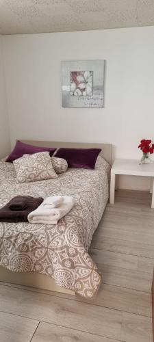 Ce lit se trouve dans un dortoir doté d'une table et d'un lit sidx sidx. dans l'établissement un studio au cœur des champs,1h de paris, à Villiers-sur-Marne