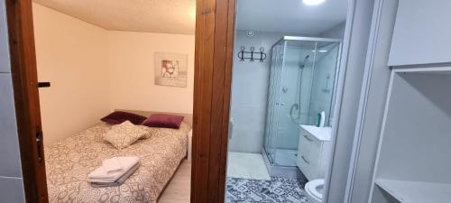 La petite salle de bains est pourvue d'un lit et d'une douche. dans l'établissement un studio au cœur des champs,1h de paris, à Villiers-sur-Marne