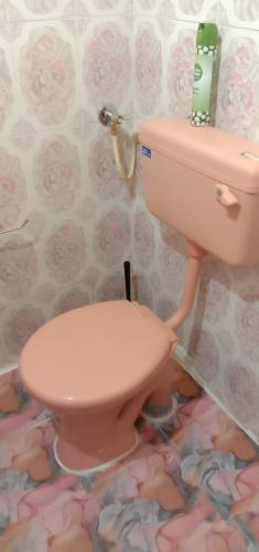 a pink toilet in a bathroom with a flower wallpaper at Two BHK Fully Furnished Flat - Near Charminar and Salar Jung Museum in Hyderabad
