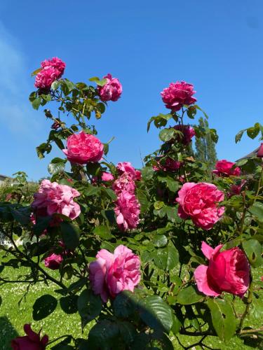 Gallery image of PROCHE MANOIR CAULIERES 2 rue d En Haut in Caulières