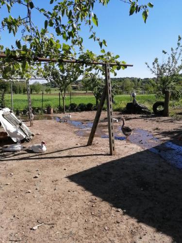 Φυσικό τοπίο κοντά σε αυτή η εξοχική κατοικία