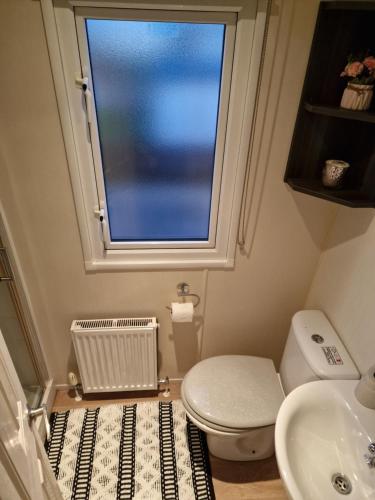 a bathroom with a toilet and a sink and a window at 163 Holiday Resort Unity Brean sands Pet friendly in Berrow