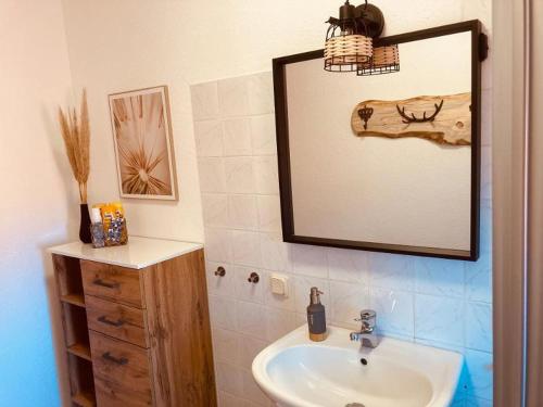 a bathroom with a sink and a mirror at Poppenhäuser Mühle in Hofgeismar