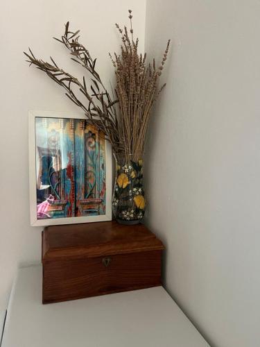 Casa Elvira