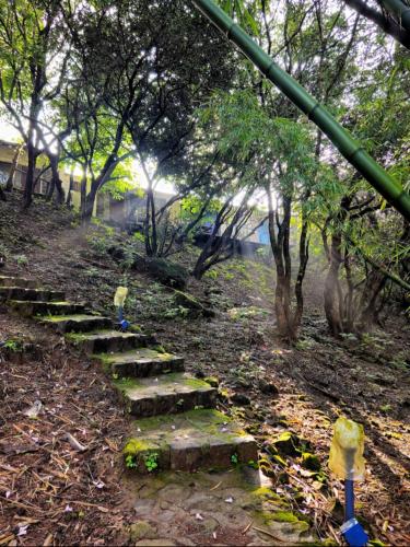 a set of stone steps in a field with trees at Captans Stay in Lonavala