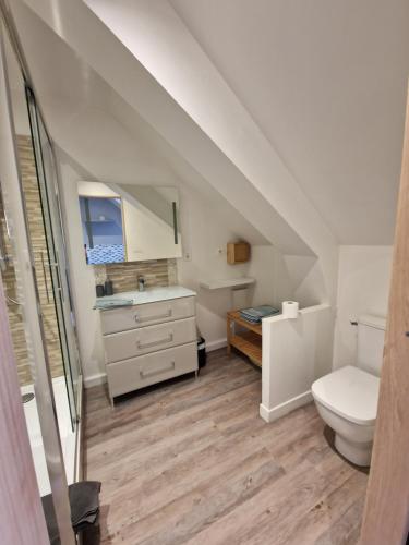 une salle de bain avec un lavabo et des toilettes dans l'établissement Le Duplex, proche centre-ville, à Quimper