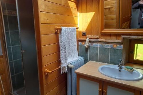 a bathroom with a sink and a mirror at La Maison de Pierre et Mizette in La Versanne