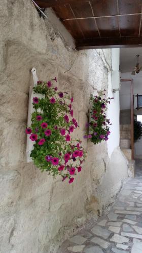 a bunch of flowers hanging on a wall at Anatolia cave hotel Pension in Goreme