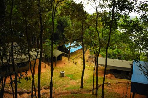 a group of tents in a forest with trees at Belihuloya Adventure Camp By Eco Team in Belihul Oya
