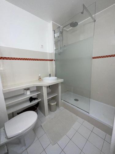 une salle de bain avec toilettes, lavabo et douche dans l'établissement Appartement St Germain, à Maisons-Laffitte