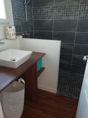 La salle de bains est pourvue d'un lavabo et d'un comptoir avec un miroir. dans l'établissement MAISON T4 style ARCACHONNAISE, à Gujan-Mestras