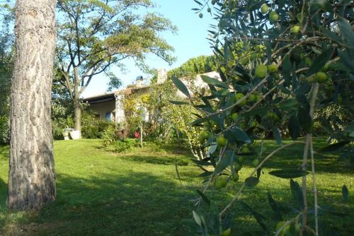 Photo de la galerie de l'établissement Les Oliviers de Claron, à Visan