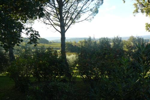 Photo de la galerie de l'établissement Les Oliviers de Claron, à Visan