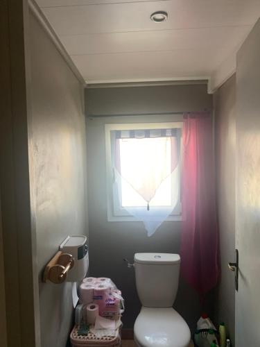 Elle comprend une petite salle de bains pourvue de toilettes et d'une fenêtre. dans l'établissement Loft cosy, à Carcassonne