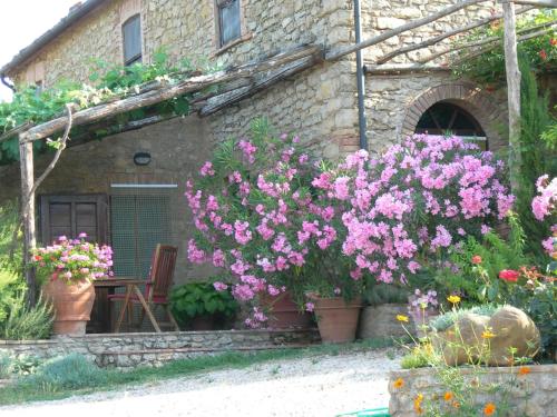 a stone house with pink flowers in front of it at PERGOLA at Le Pietraie a cottage with many flowers in Montecastelli Pisano