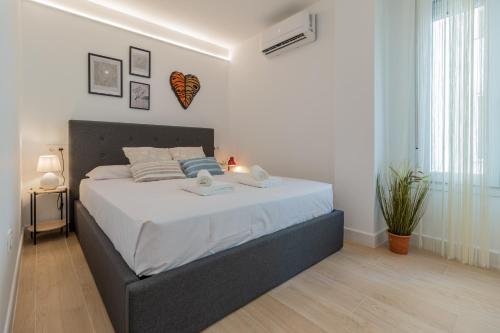 Oasis Cordoba Central