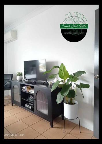 a living room with a potted plant and a tv at Cairns Chic Suite - Motel Room A in Woree