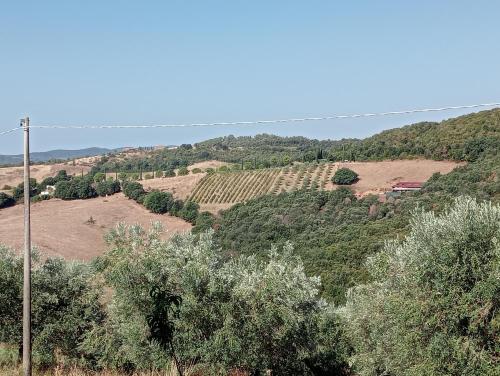Paisaje cerca de este apartamento